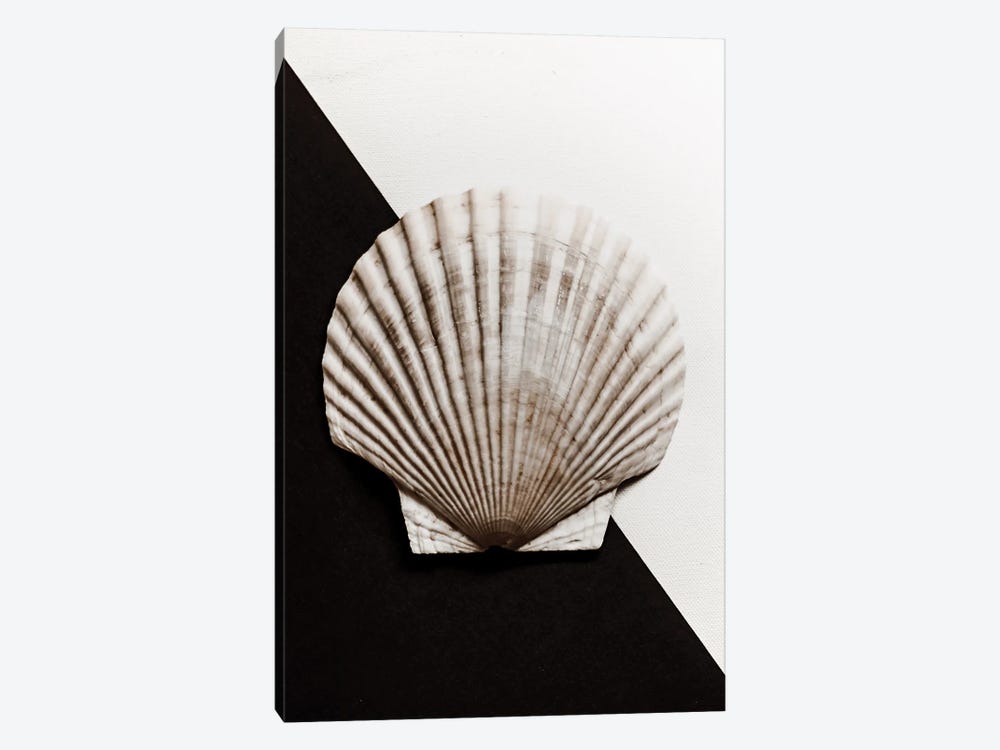 Black And White Shell I by Magda Izzard 1-piece Art Print