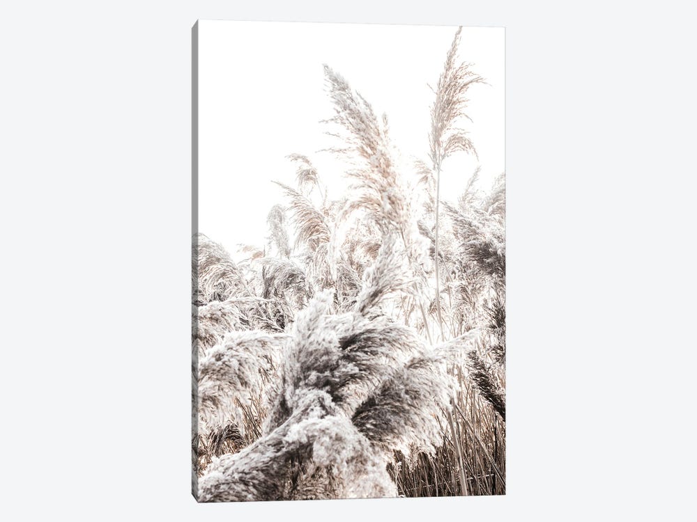 Grass Poster I by Magda Izzard 1-piece Canvas Art