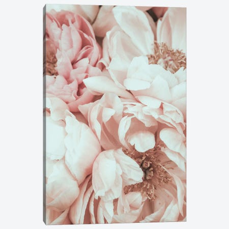 Blossom Mix Canvas Print #MIZ13} by Magda Izzard Art Print