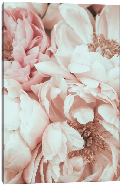 Blossom Mix Canvas Art Print - Magda Izzard