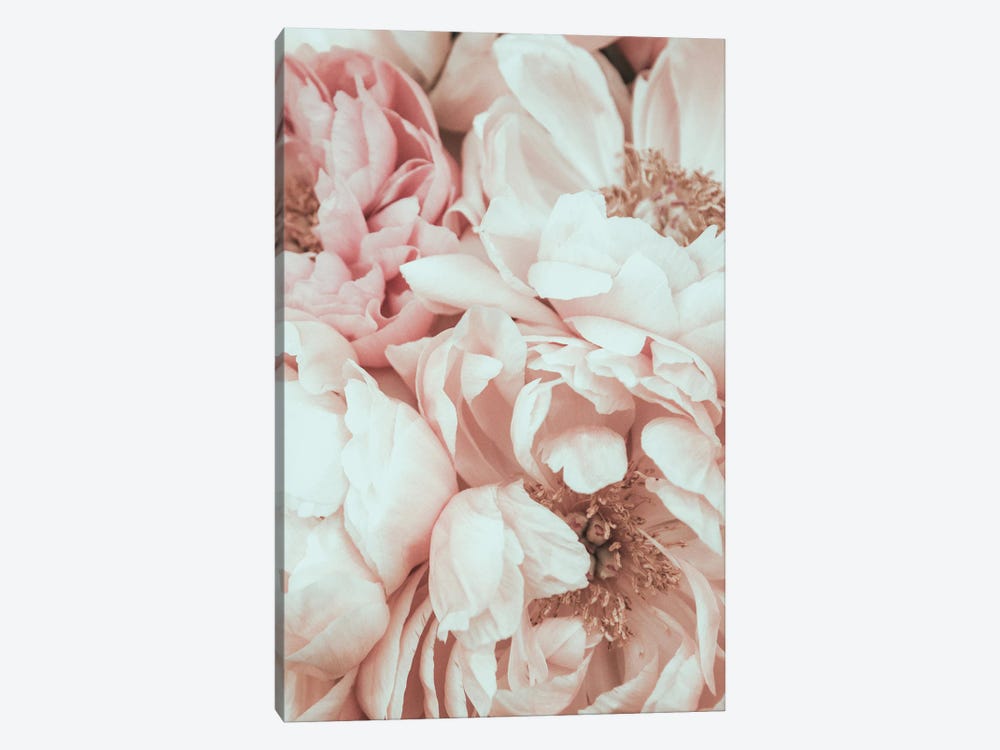 Blossom Mix by Magda Izzard 1-piece Art Print