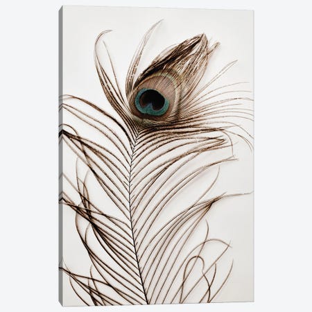 Peacock Feather III Canvas Print #MIZ145} by Magda Izzard Canvas Print