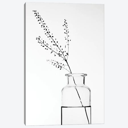 Bottle With Branches II Canvas Print #MIZ14} by Magda Izzard Canvas Wall Art