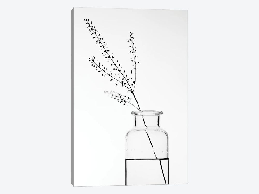 Bottle With Branches II 1-piece Canvas Artwork