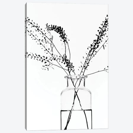 Bottle With Branches I Canvas Print #MIZ15} by Magda Izzard Canvas Wall Art