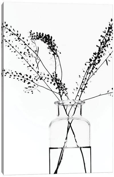 Bottle With Branches I Canvas Art Print - Magda Izzard