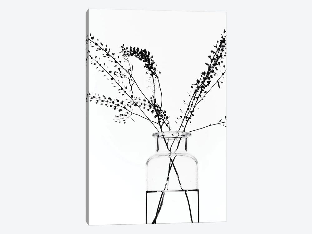 Bottle With Branches I by Magda Izzard 1-piece Canvas Print