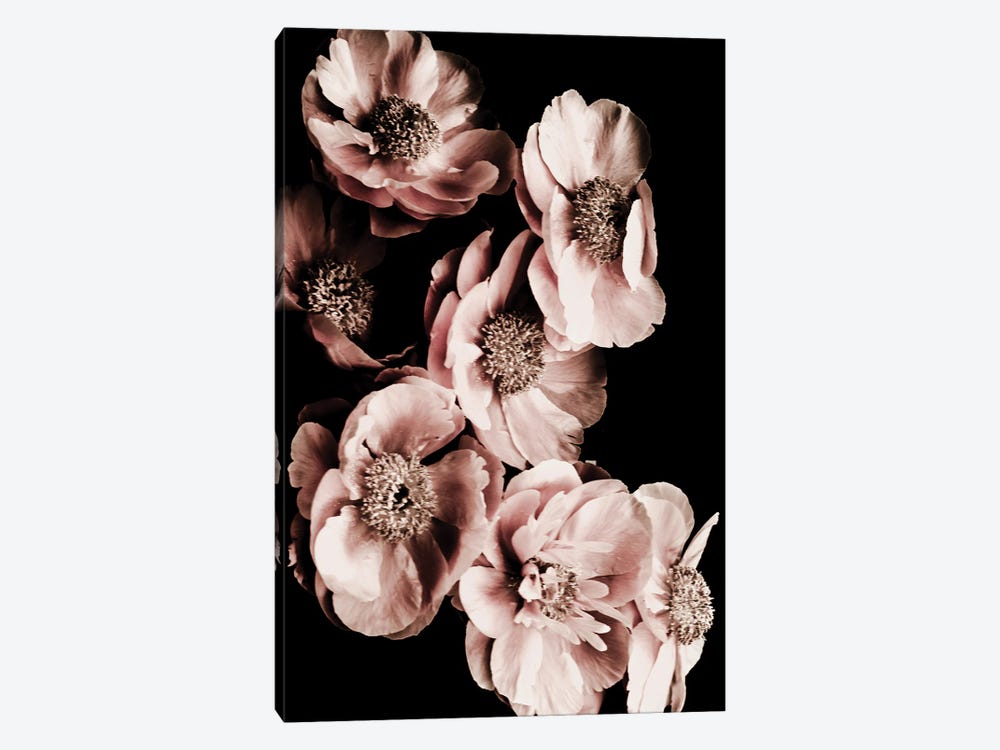 Summer Blossom by Magda Izzard 1-piece Art Print