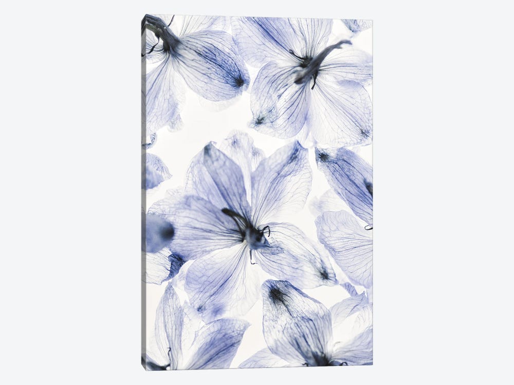 Summer Flowers I by Magda Izzard 1-piece Canvas Artwork