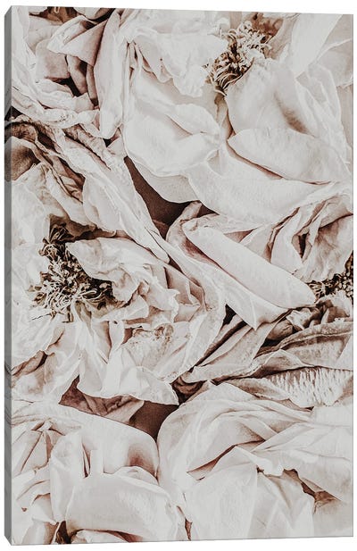 Silk Roses Canvas Art Print - Magda Izzard
