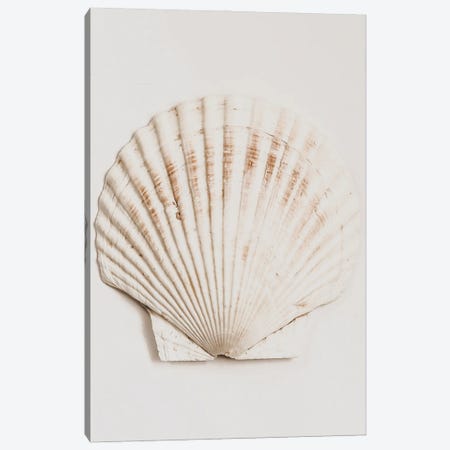Shell Canvas Print #MIZ183} by Magda Izzard Canvas Wall Art