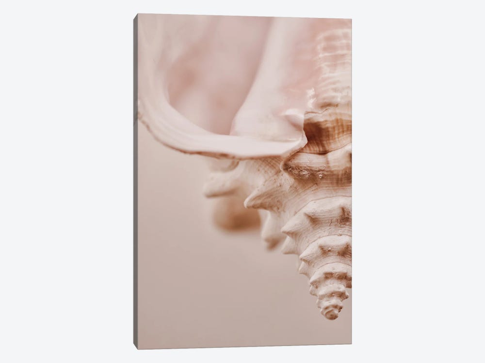 Pink Seashell I by Magda Izzard 1-piece Art Print