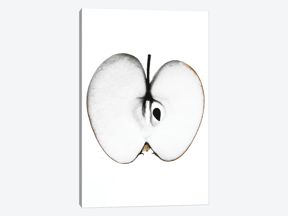 Apple by Magda Izzard 1-piece Canvas Print