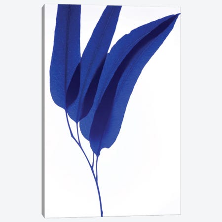 Blue Leaf II Canvas Print #MIZ219} by Magda Izzard Canvas Art