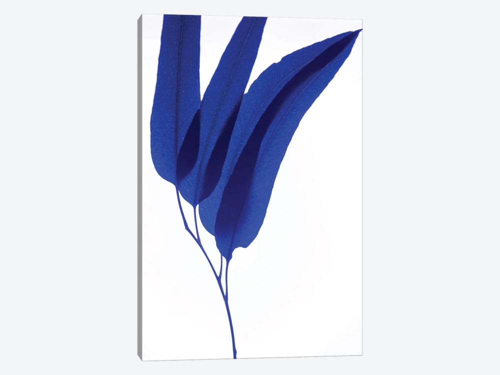 Blue Leaf II by Magda Izzard 1-piece Canvas Art Print