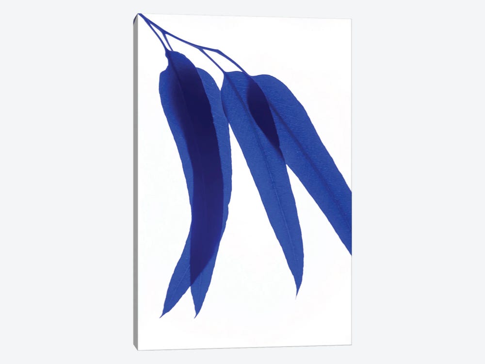 Blue Leaf III by Magda Izzard 1-piece Art Print