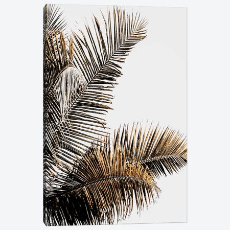California Palm Canvas Print #MIZ24} by Magda Izzard Canvas Print