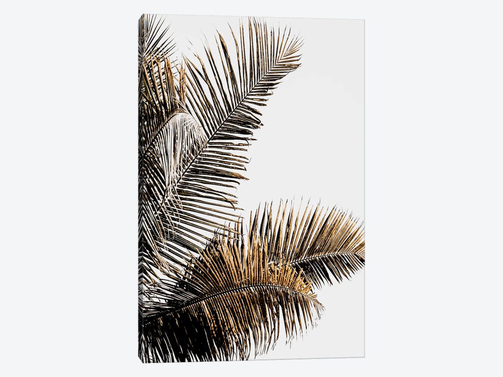 California Palm by Magda Izzard 1-piece Canvas Art Print