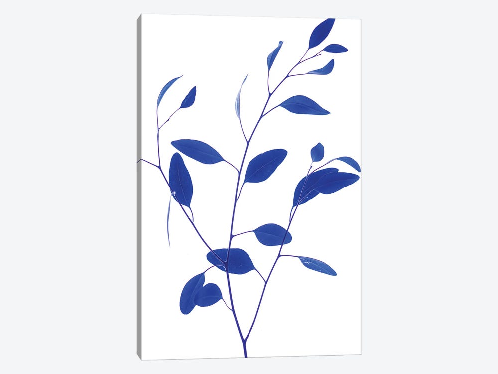 Delicate Branch - Blue by Magda Izzard 1-piece Art Print