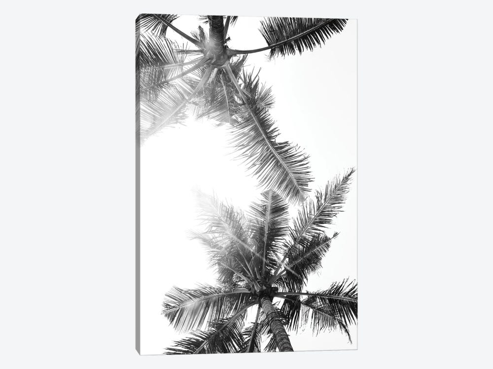 Palm Trees Of Bali by Magda Izzard 1-piece Canvas Print