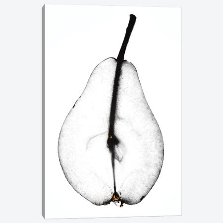 Pear Canvas Print #MIZ67} by Magda Izzard Canvas Art Print