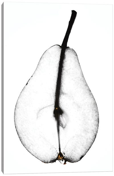 Pear Canvas Art Print - Magda Izzard
