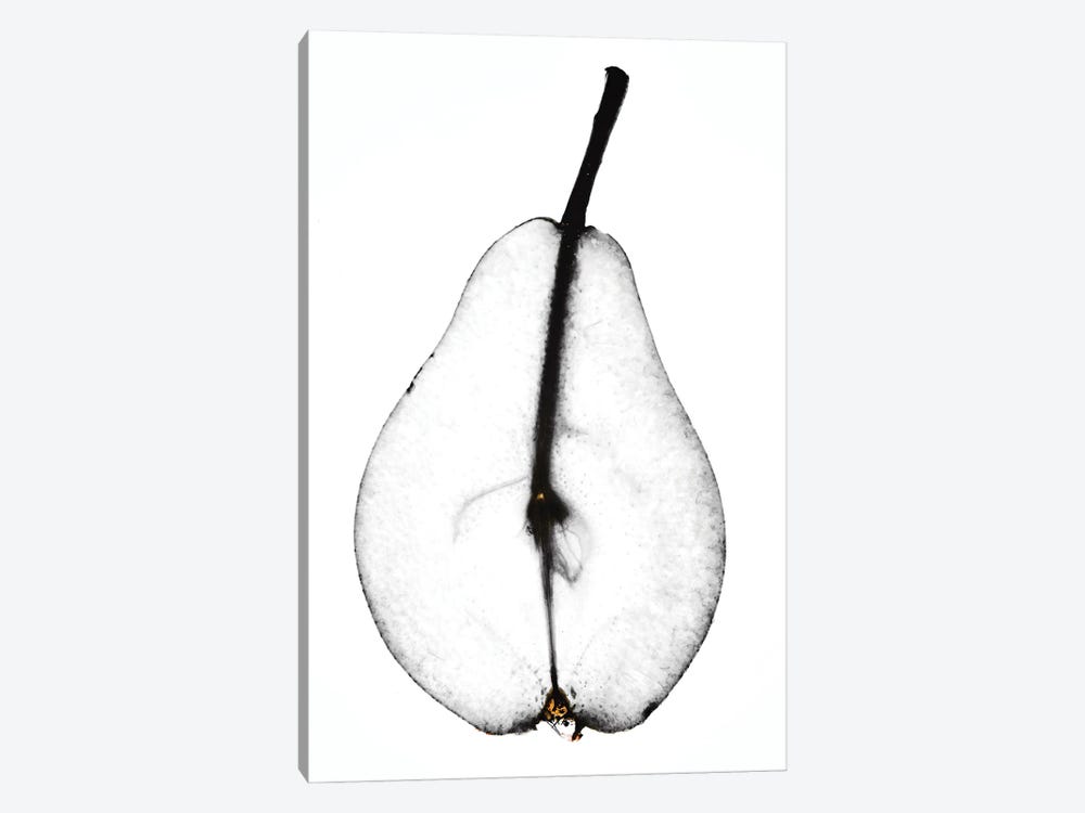 Pear by Magda Izzard 1-piece Canvas Art