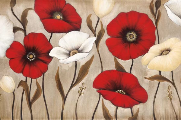 Poppies: Collective by MAJA