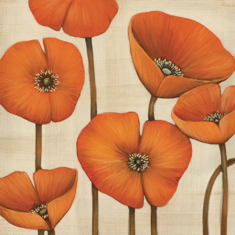 Bouquet Orange by MAJA wall art