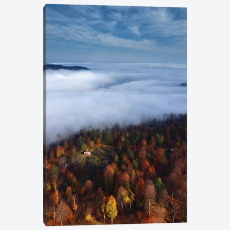 Foggy Forest Panoramic View Canvas Print #MJB3} by Majid Behzad Canvas Wall Art