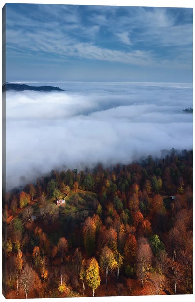 Foggy Forest Panoramic View Canvas Art Print