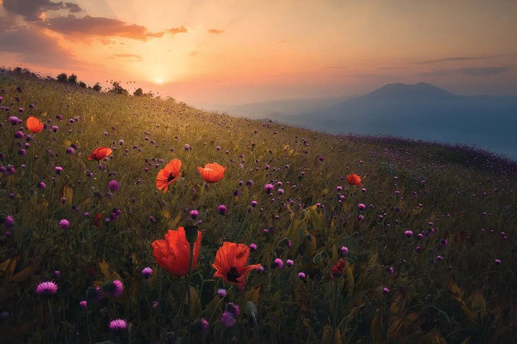 Rudbar Heights In Spring by Majid Behzad wall art