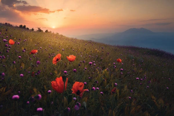 Scenic & Landscapes: Rudbar Heights In Spring by Majid Behzad