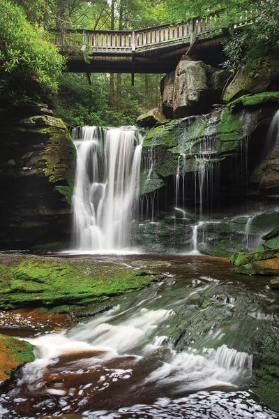 Waterfalls: Elakala Falls West I by Alan Majchrowicz
