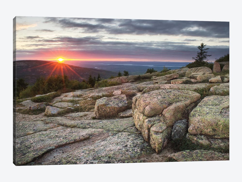 Acadia National Park Sunset by Alan Majchrowicz 1-piece Canvas Art Print