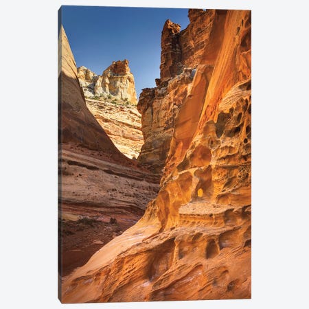 Canyon Consultation Canvas Print by Cathy Carey | iCanvas