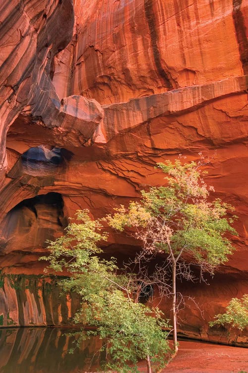 Neon Canyon III by Alan Majchrowicz wall art