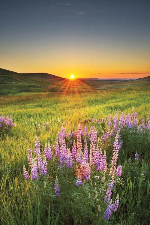 Prairie Sunrise