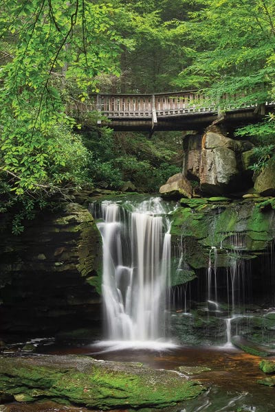 Alan Majchrowicz: Elakala Falls West II by Alan Majchrowicz