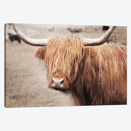 Scottish Highland Cattle I Neutral Canvas Print #MJC65} by Alan Majchrowicz Canvas Artwork