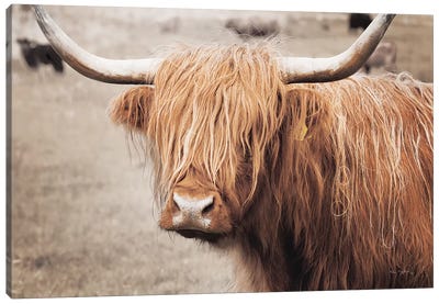 Scottish Highland Cattle I Neutral Canvas Art Print - Highland Cow Art