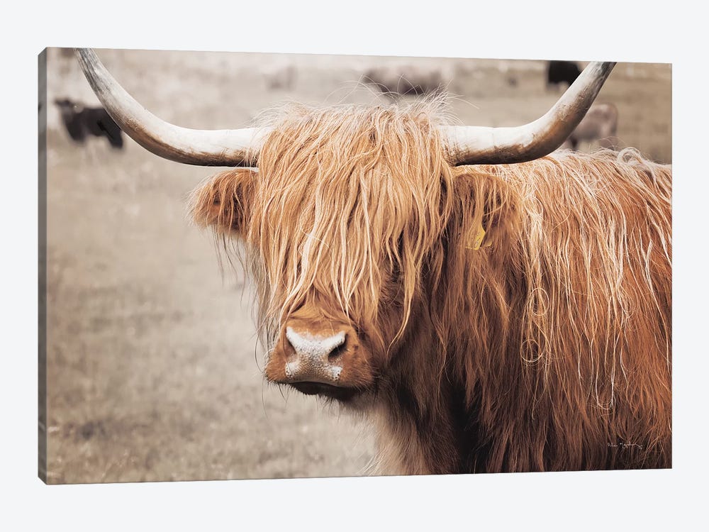 Scottish Highland Cattle I Neutral 1-piece Art Print