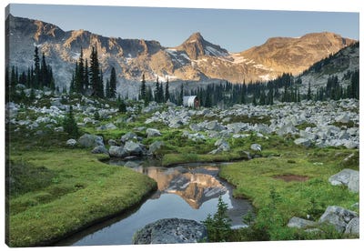 Mountains Reflected In Creek, Subalpine Meadows Of Marriott Basin, Coast Mountains, British Columbia Canvas Art Print - British Columbia Art
