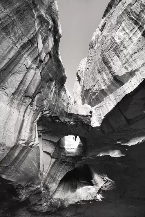 Neon Canyon I BW by Alan Majchrowicz wall art
