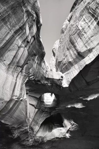 Canyons: Neon Canyon I BW by Alan Majchrowicz