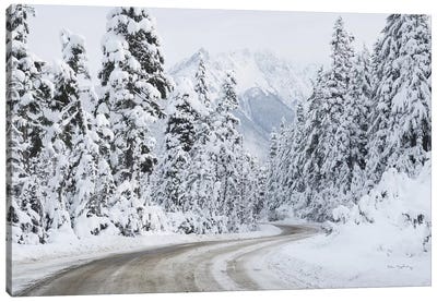 Mount Baker Highway I Canvas Art Print - Trail, Path & Road Art