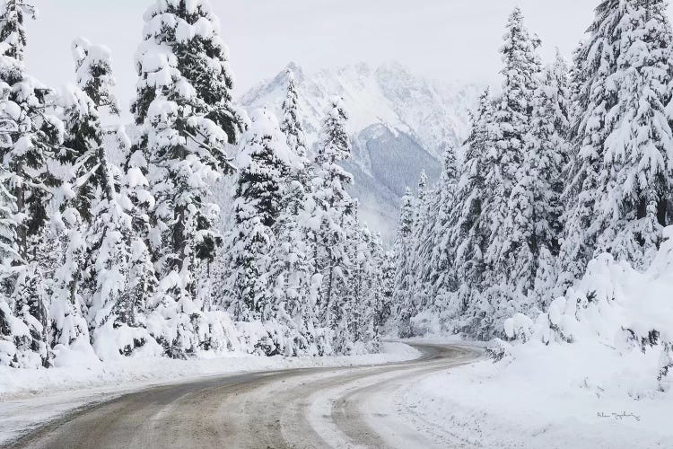 Mount Baker Highway I by Alan Majchrowicz wall art