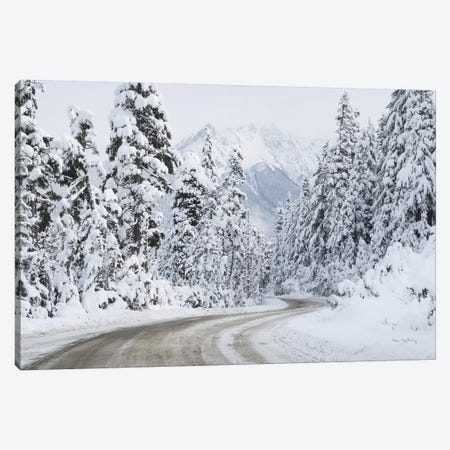 Mount Baker Highway I Canvas Print #MJC88} by Alan Majchrowicz Canvas Print