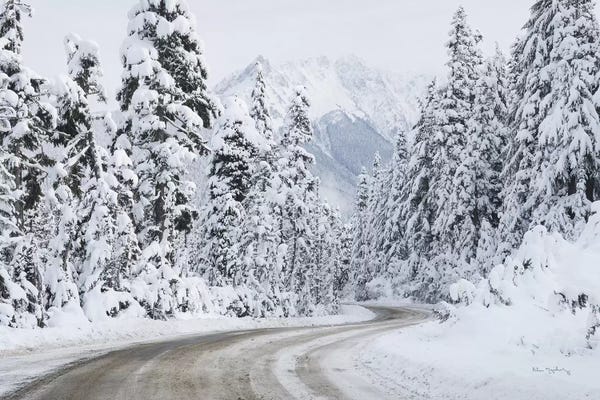 Snowy Mountains: Mount Baker Highway I by Alan Majchrowicz