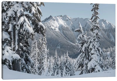 Nooksack Ridge in Winter Canvas Art Print - Alan Majchrowicz
